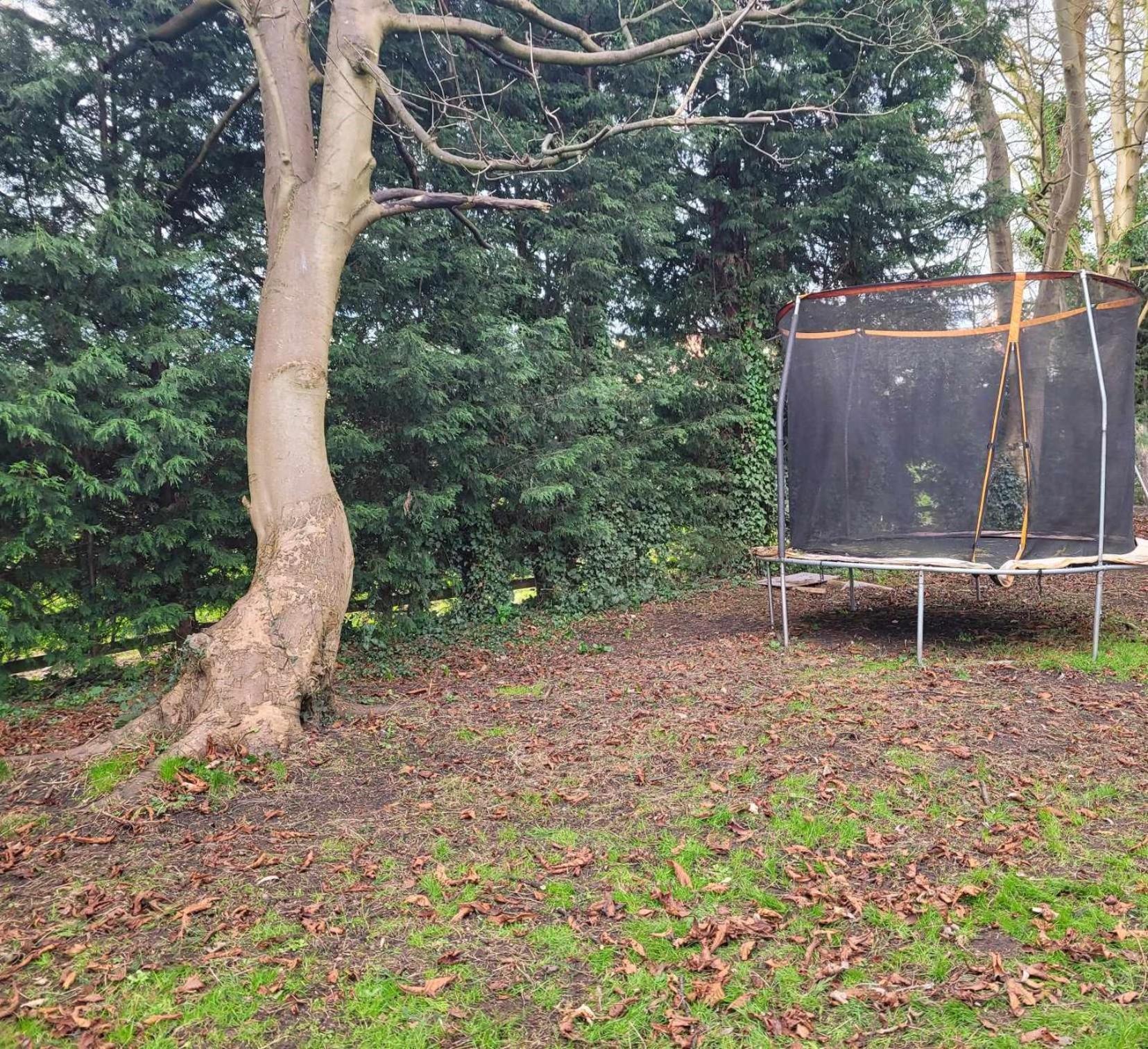 17Th-Century One Bed Studio With Parking & Garden! Elkesley ภายนอก รูปภาพ